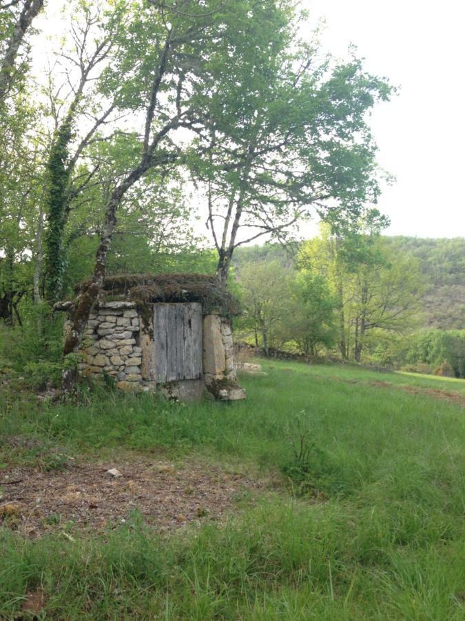 Гостьовий будинок La Roulotte Clerelu - Du Domaine Des Ramonets Каор Екстер'єр фото